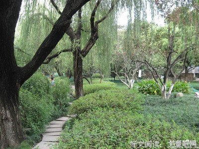 青荷可界名句欣赏