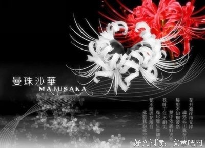 心的优美句子