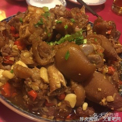 最全的《小团圆》好段摘抄