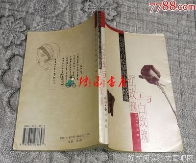最全的《小说绘》经典的句子