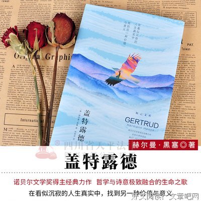 最全的《德米安》小说书摘