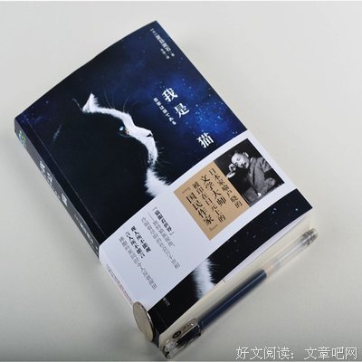 《我是猫》小说书摘