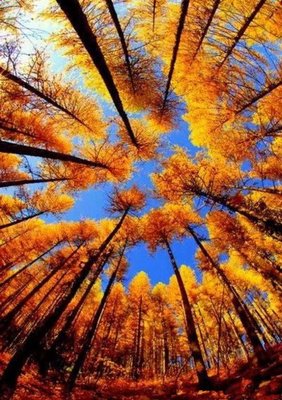 最经典的《散文集》名句欣赏