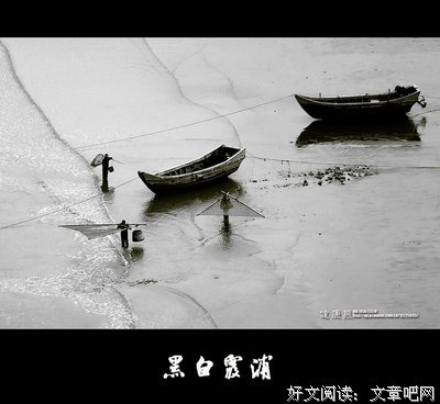 《暴风雨》小说书摘