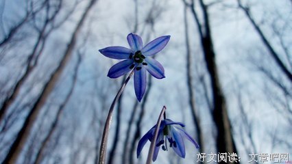 最经典的《朋友圈》好段摘抄大全