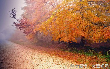 最全的《美图吧》名句欣赏