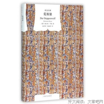最新的《荒原狼》经典的句子
