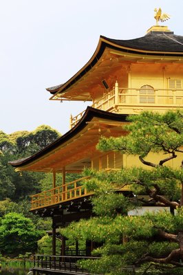 《金阁寺》佳句摘抄