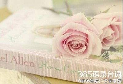 关于测测的唯美语录