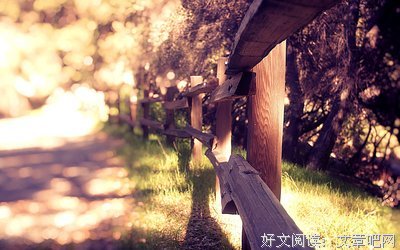 人生所求，不过温暖与良人