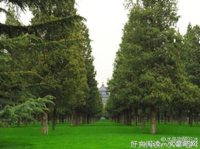 夫妻之间做过这三件“恶心事”，大都走到了白头，别不相信