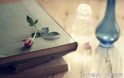 说说句子大全