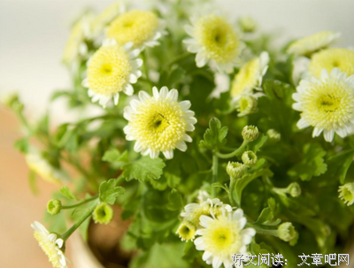 伤心优美的句子
