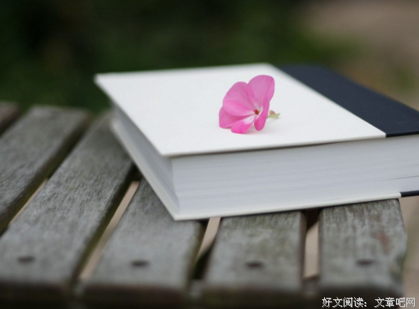 张爱玲 认种看还毛 优美的句子
