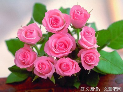 关于此情可待成追忆的优美句子