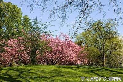 不爱你的句子