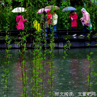 茶青禅的名言