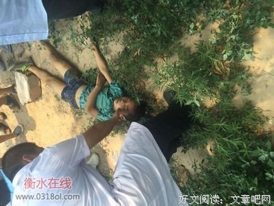 最经典的柳国健的名言