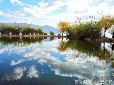 「风花雪月」六百六十二章