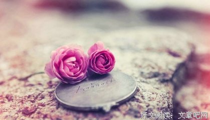 最新的《一树人生》小说句子