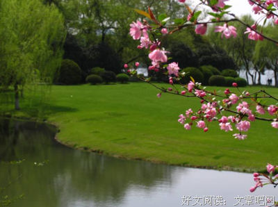 最新的《佛遗教经》好段摘抄