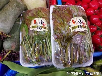 任性过了头，才是自由