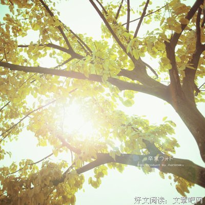 最全的《半暖时光》小说句子