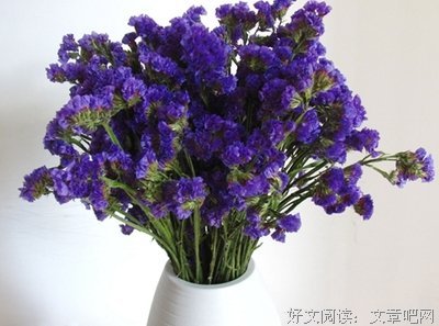 用什么才能唤回那些离开的Souler？