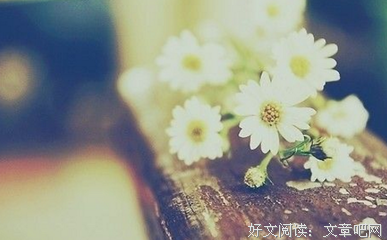 白白星座电台 |和大家聊聊射手座