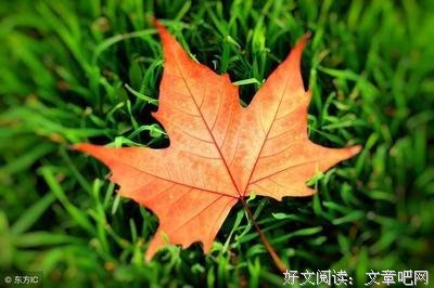 最经典的《四月裂帛》经典语句大全
