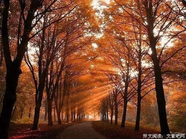 给人留一个空间，给己留一份尊严 