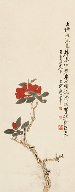 摇光的名人名言