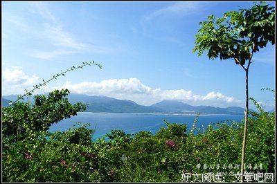 停当的句子