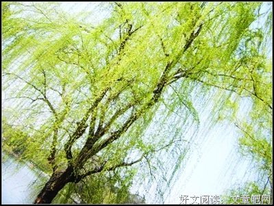 依依惜别的名言_关于依依惜别的名言