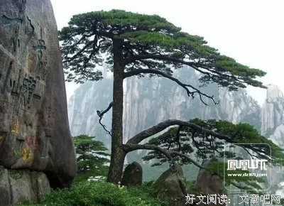 当舍格言警句