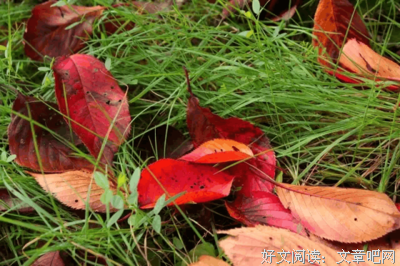12星座越来越爱你有什么表现