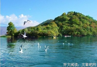 关于来水了他的句子