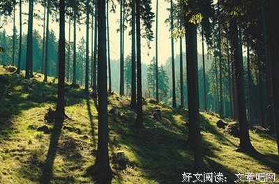 《言情》的句子