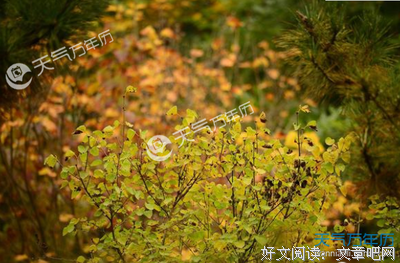 关于灵魂的另一个家的句子