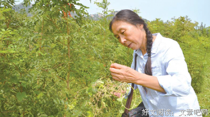 于娟精彩语录