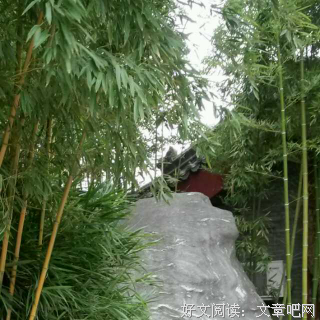 关于宗璞15句经典名言