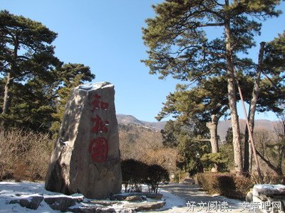小志经典句子