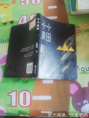 最全的《小小麦田》小说书摘