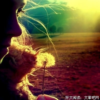 最全的《怦然心动》经典语句大全