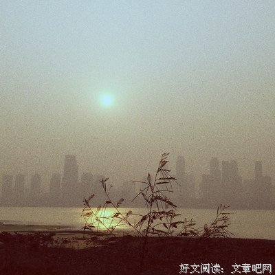 《未闻花名》好段摘抄