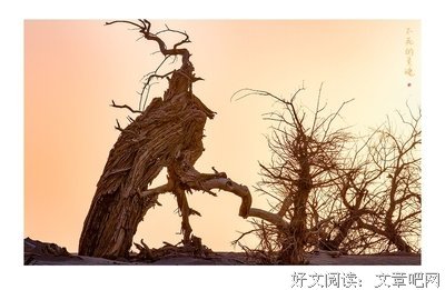 最新的《灵魂不死》经典的句子