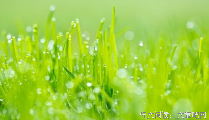 简句子大全