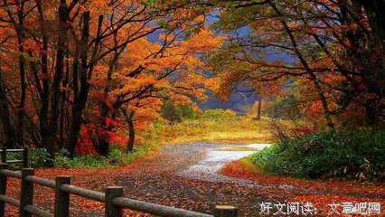《落叶的秋》的句子