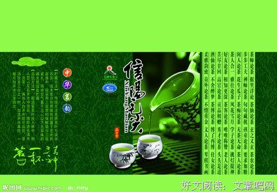 毛尖的格言