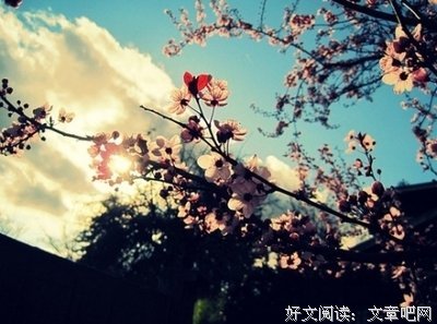 海子经典句子